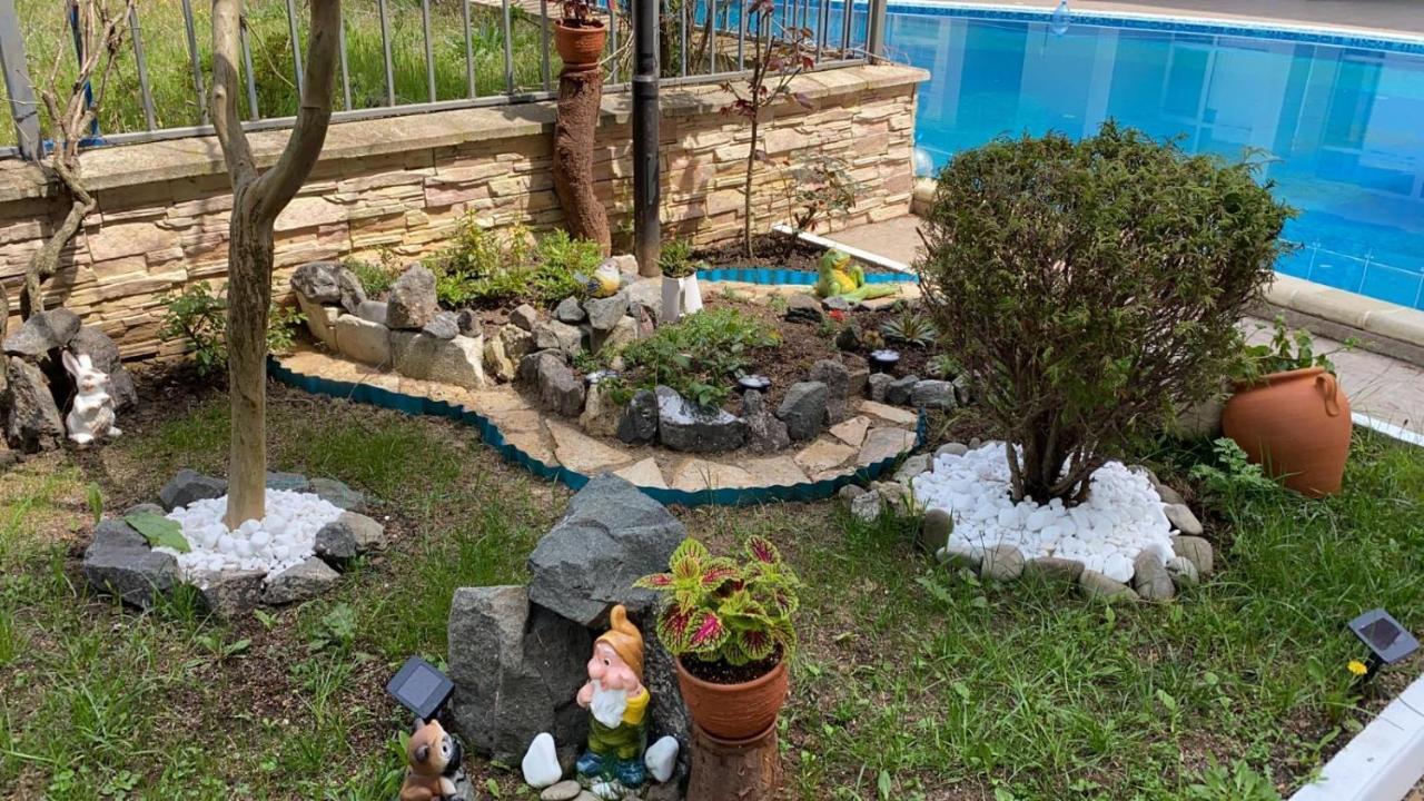 סאני ביץ' Sun City Apartments מראה חיצוני תמונה