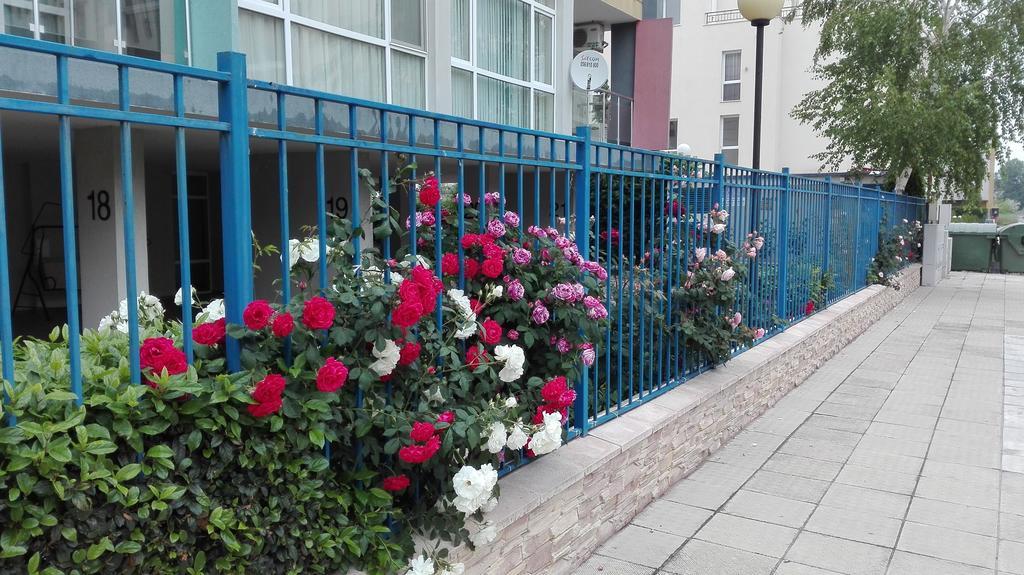 סאני ביץ' Sun City Apartments מראה חיצוני תמונה
